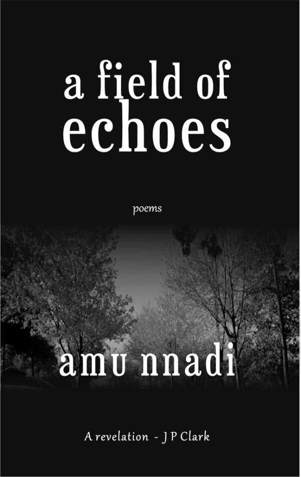 A Field of Echoes By Amu nnadi